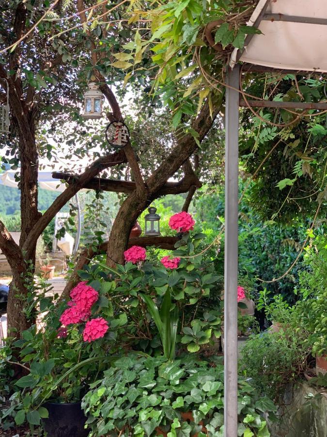 Apartamento Il Cenacolo Di Sissi Campagnano Di Roma Exterior foto