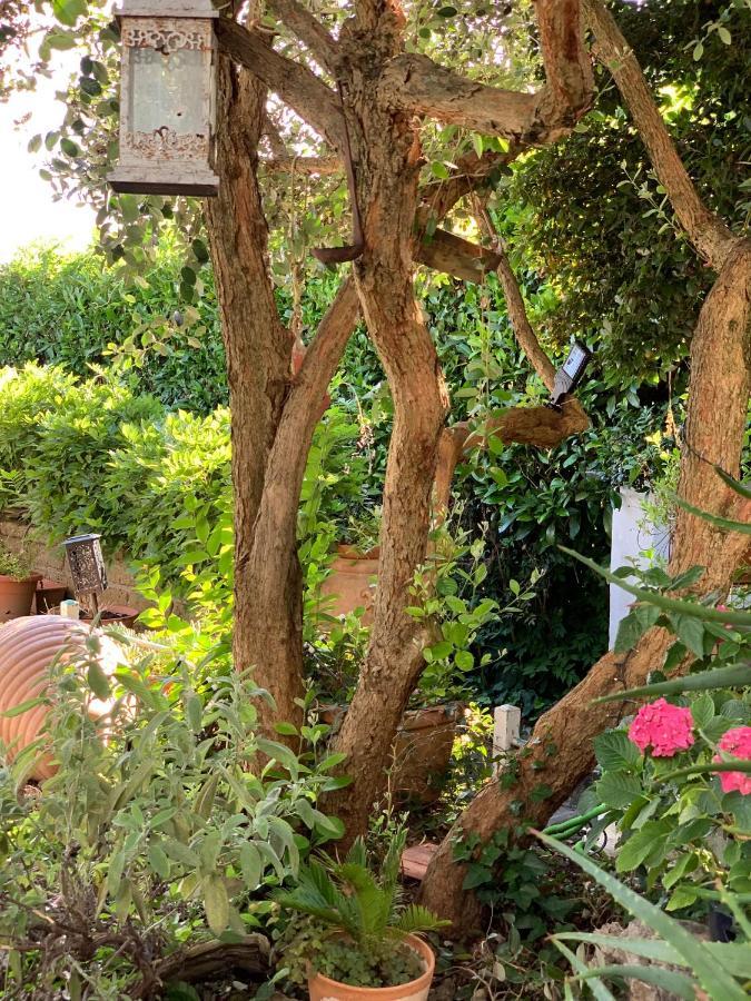 Apartamento Il Cenacolo Di Sissi Campagnano Di Roma Exterior foto