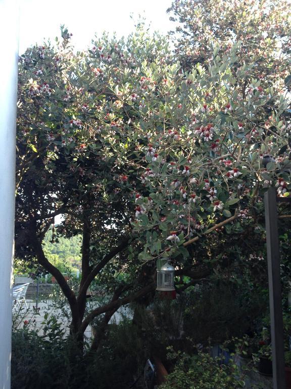 Apartamento Il Cenacolo Di Sissi Campagnano Di Roma Exterior foto